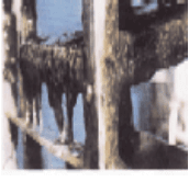 Microbiological Contamination Issues